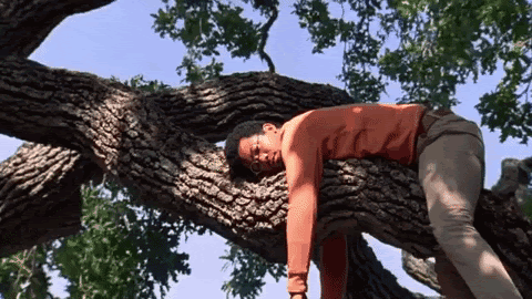 Save a Tree, Buy Some Bitcoin