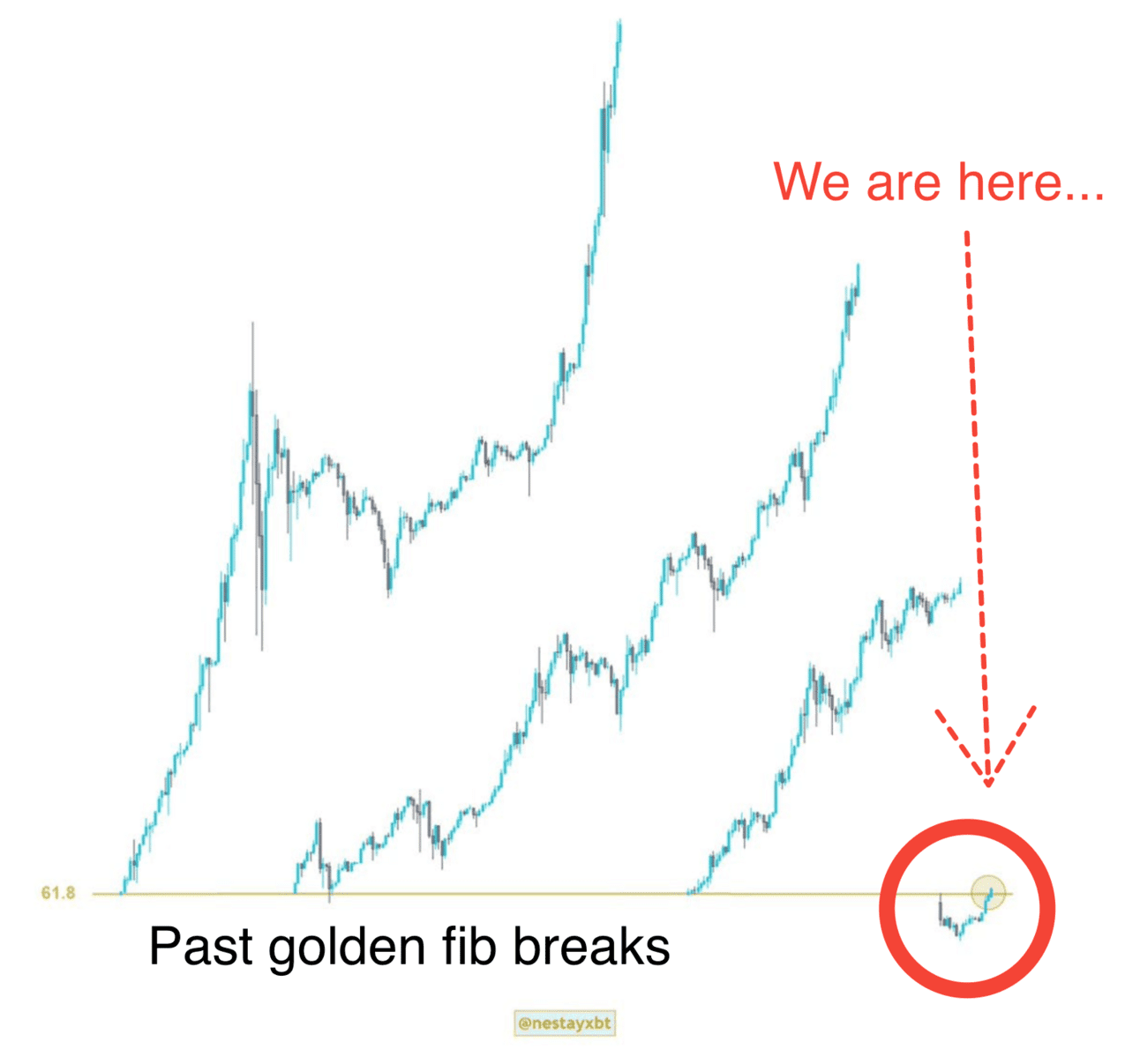 The Good News Catalogue (Pt. 4): Five Pieces of Positive News That’ll Give You the Zoomies