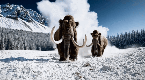 AI Video Is Here! (Here’s What That Means for Blockchain Tech)