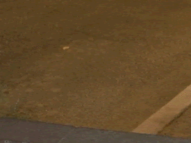 DeFi: Whatever Doesn’t Kill You, Only Makes You Stronger