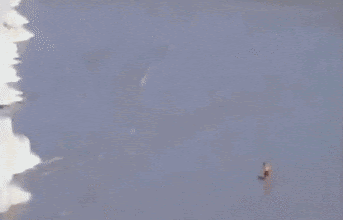 A Massive Wave of Money Is About To Hit Crypto