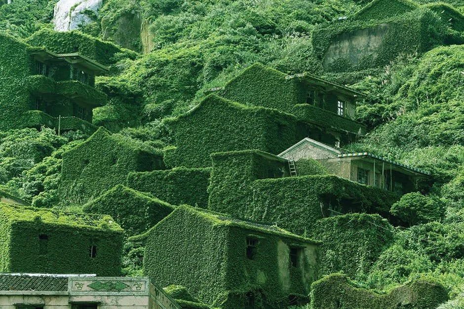 Nature (Web3) Is Healing