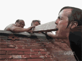 Good News: The Sky Isn’t Falling