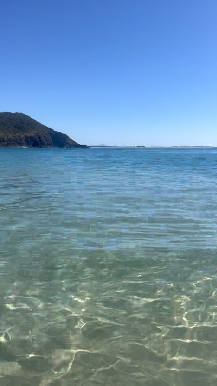 Such a beautiful Spring day at Lizzy Beach 🌺