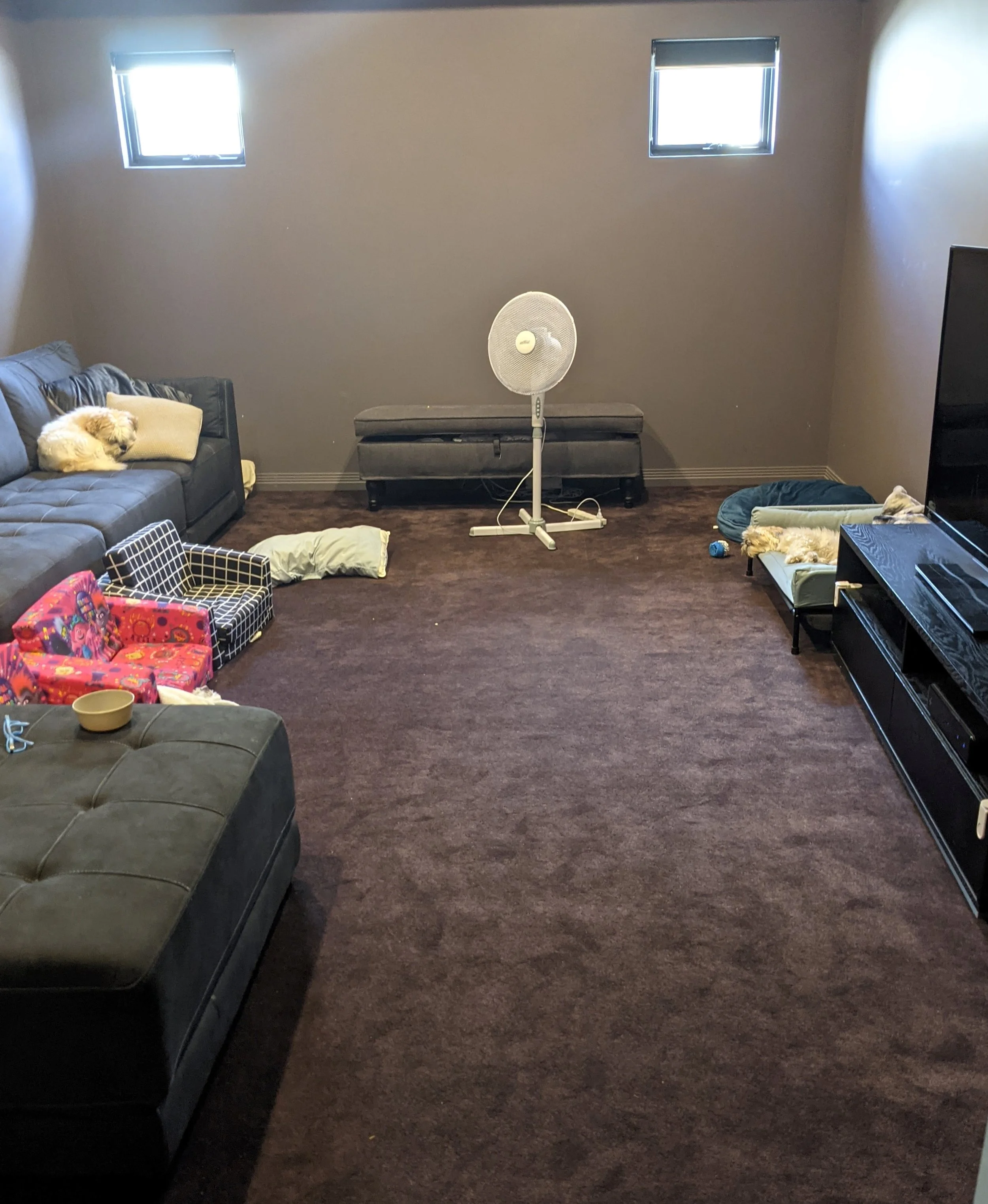 Darch Project — Selene Interiors