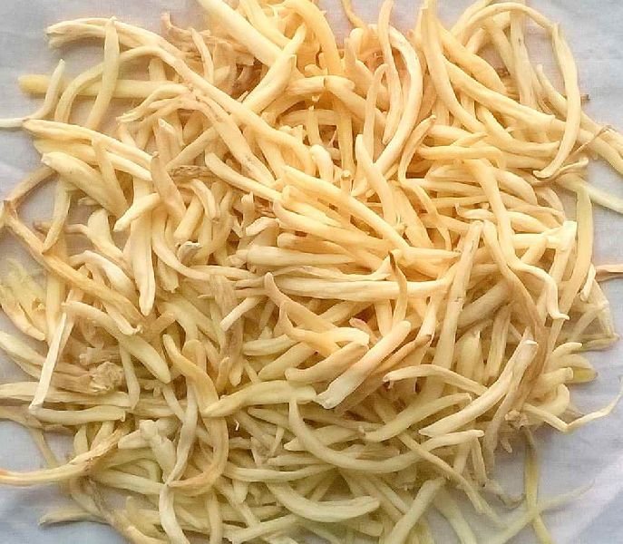 safed-musli dry herb.jpeg