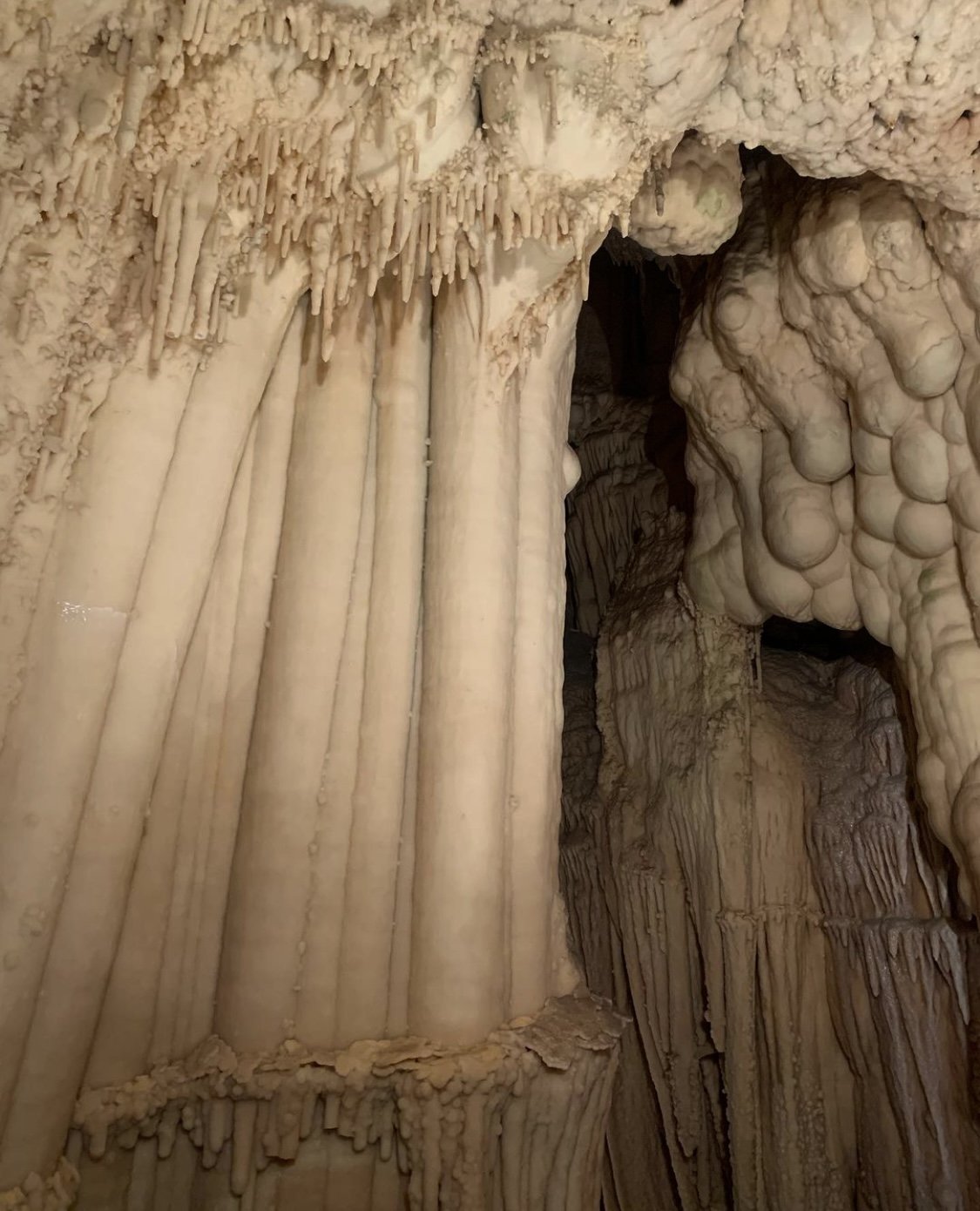 silviacivano. grotte di toirano2.JPEG