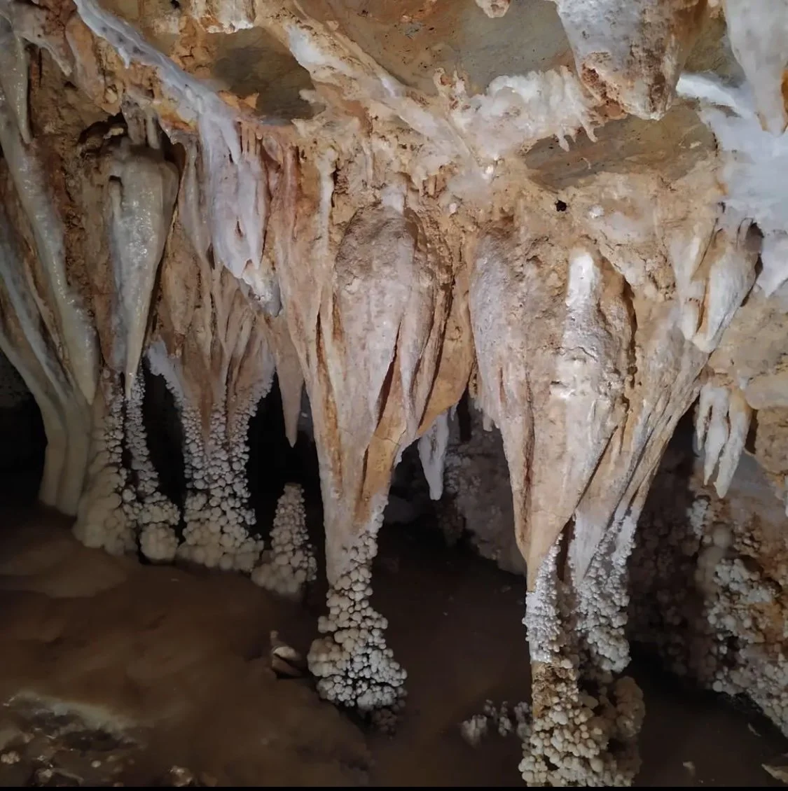 stefiroso. grotte di toirano2.jpeg