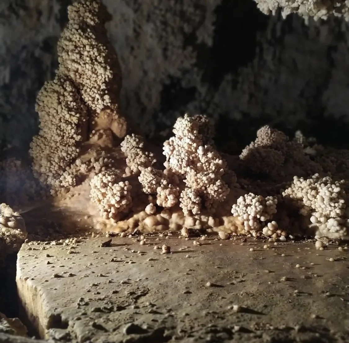 stefiroso. grotte di toirano.jpeg
