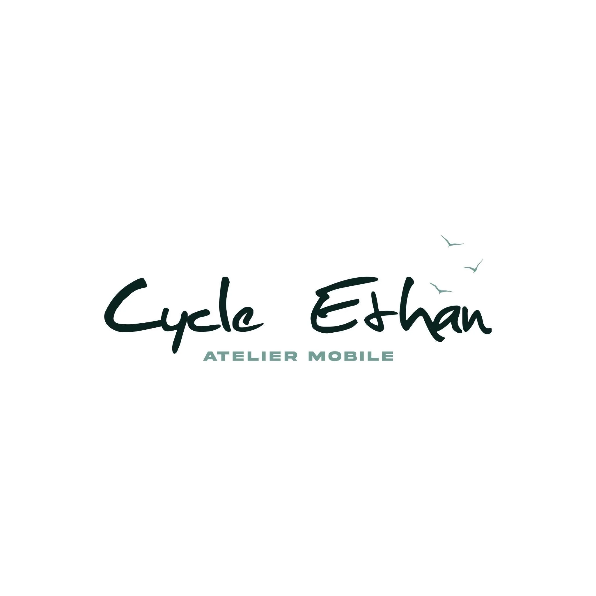 Cycle Ethan