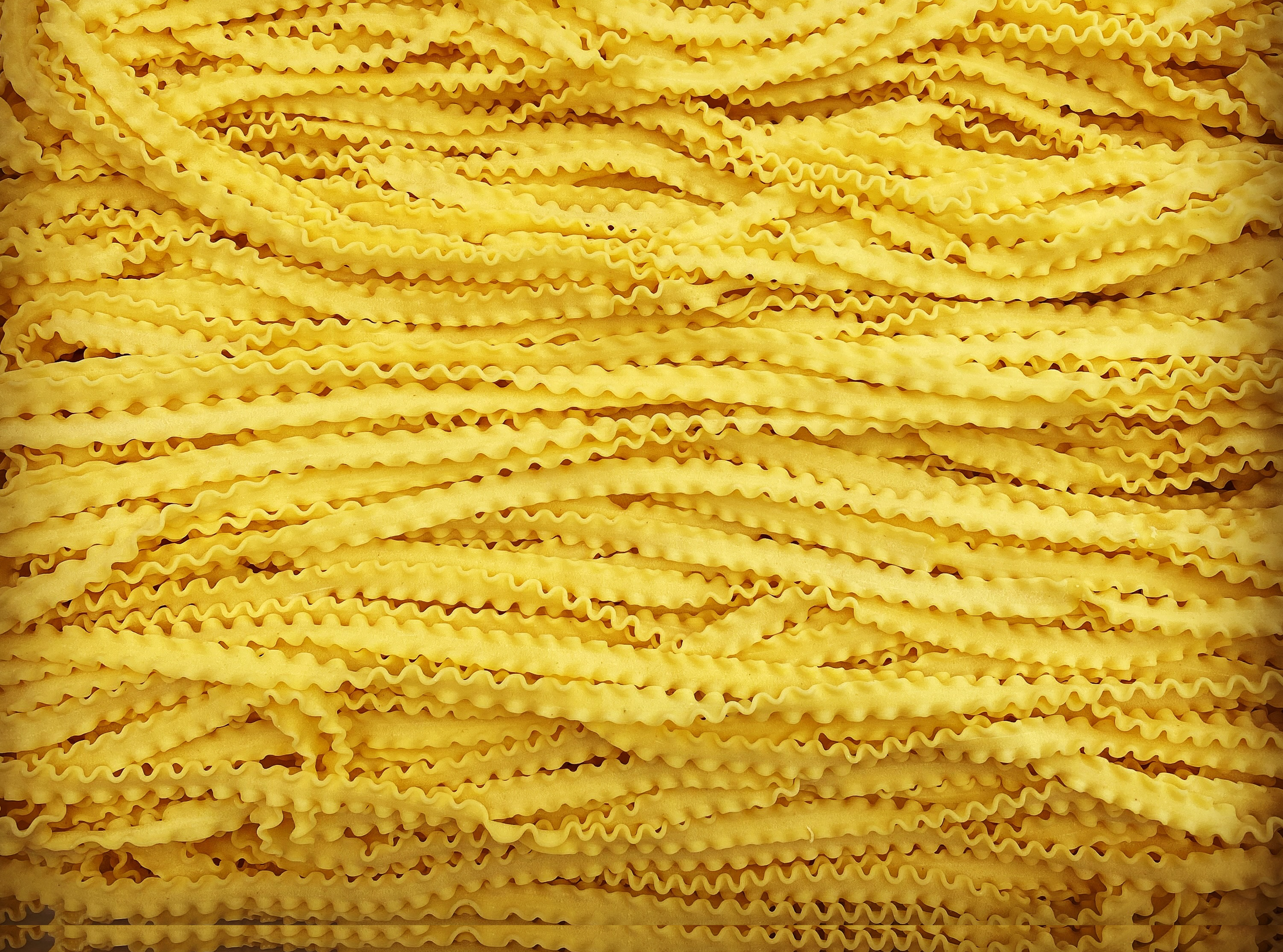 Pasta Palooza Picnic in the Park