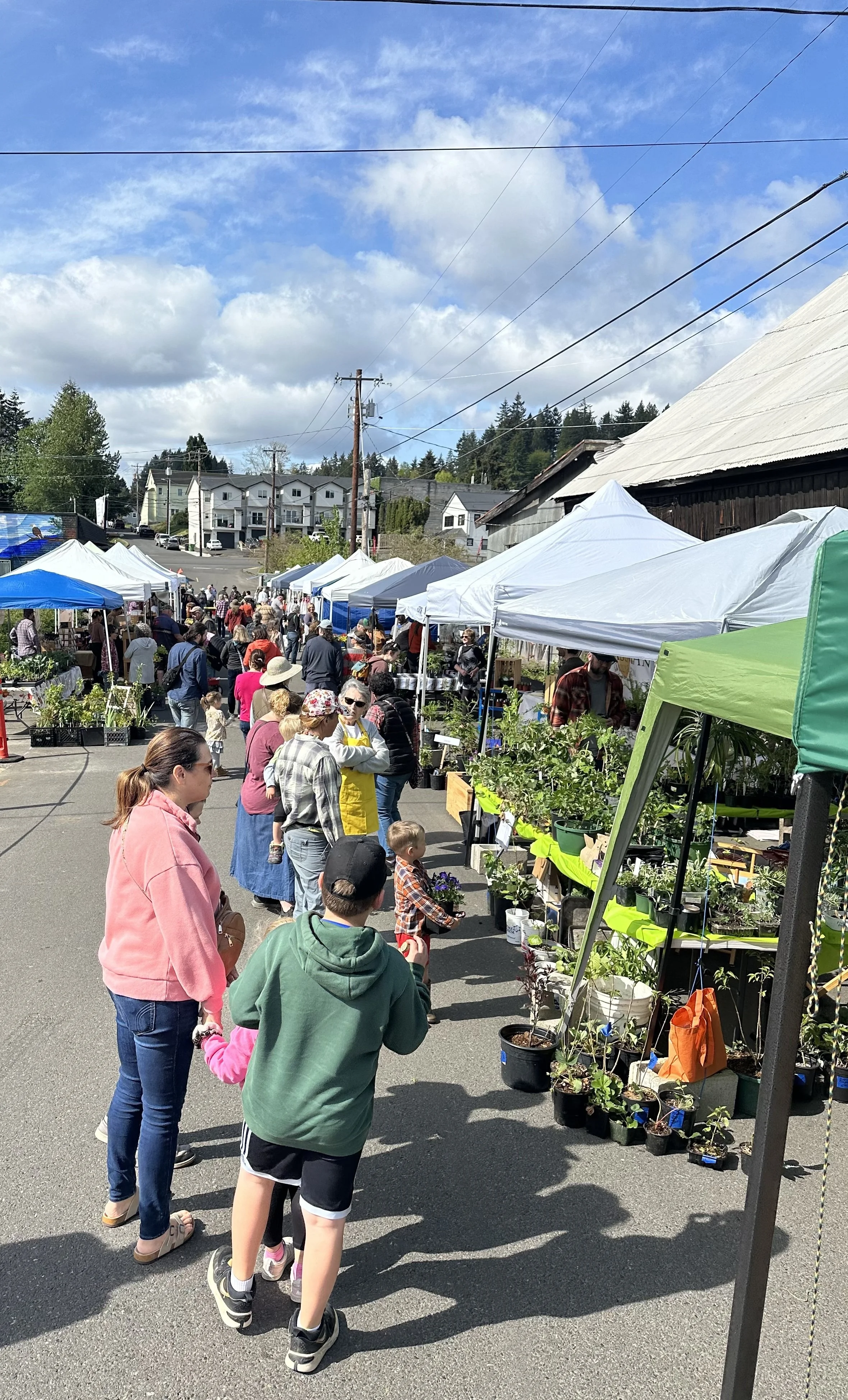 Spring Market