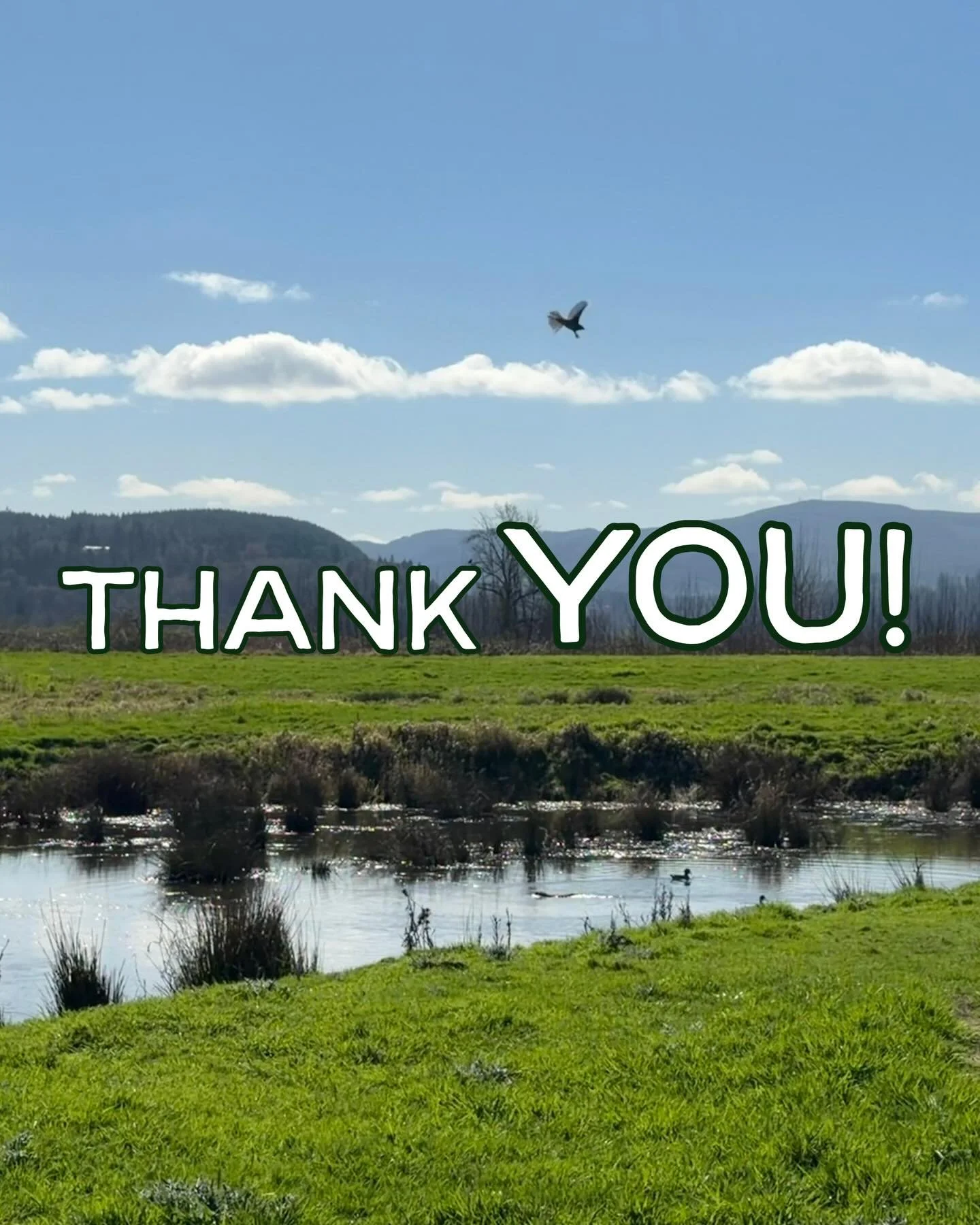Thank you.

To everyone who showed up this week &mdash; whether you spoke or witnessed &mdash; we are incredibly grateful.

Over two virtual hearings, our community brought forward testimony that was thoughtful, well-researched, heartfelt, and ground