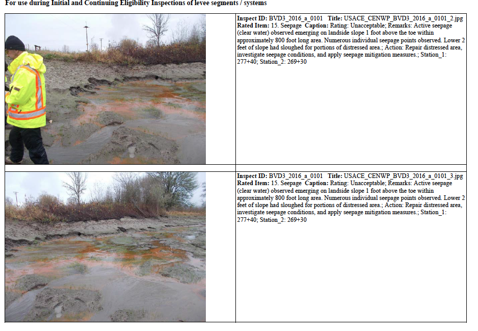 Screen Shot 2022-01-04 at 13.32.39-1.png