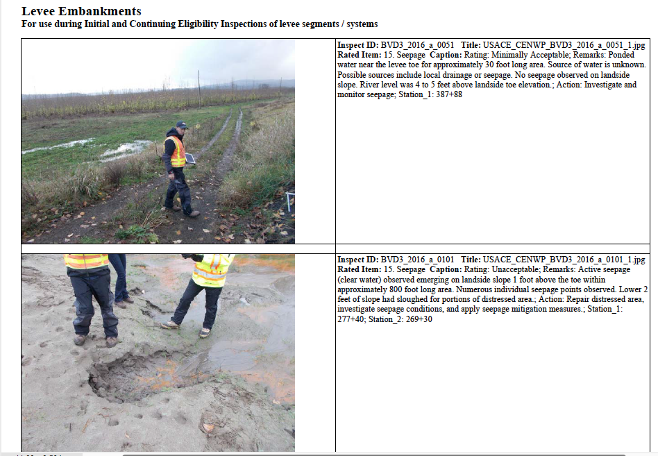 Screen Shot 2022-01-04 at 13.31.01-1.png