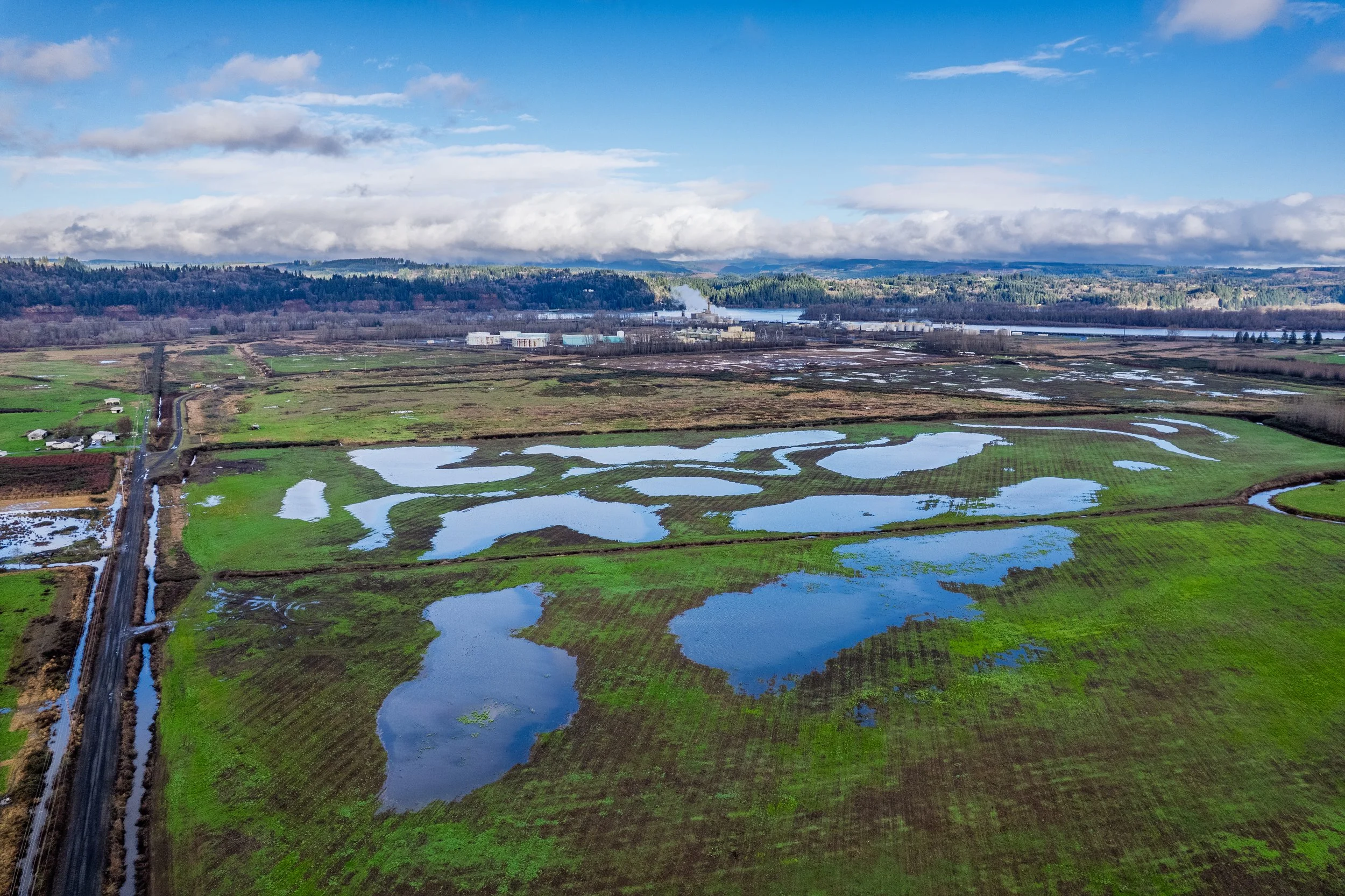 QuincyDikelandFlooding-5 (1).jpg