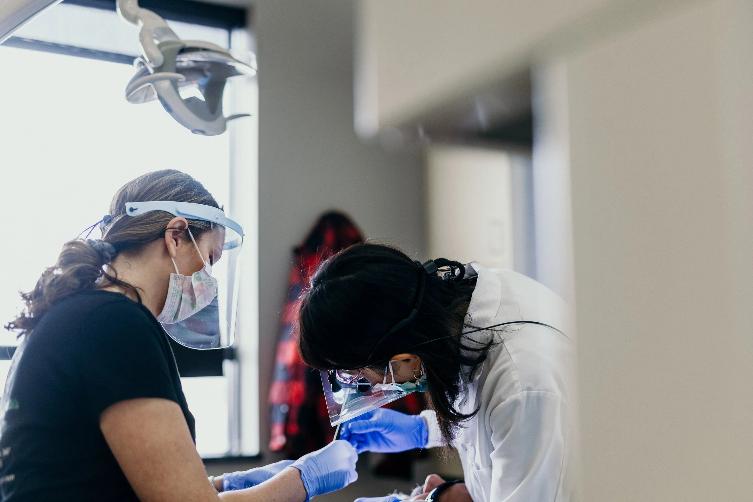 Celebrating Smiles Office Photos-38.jpg