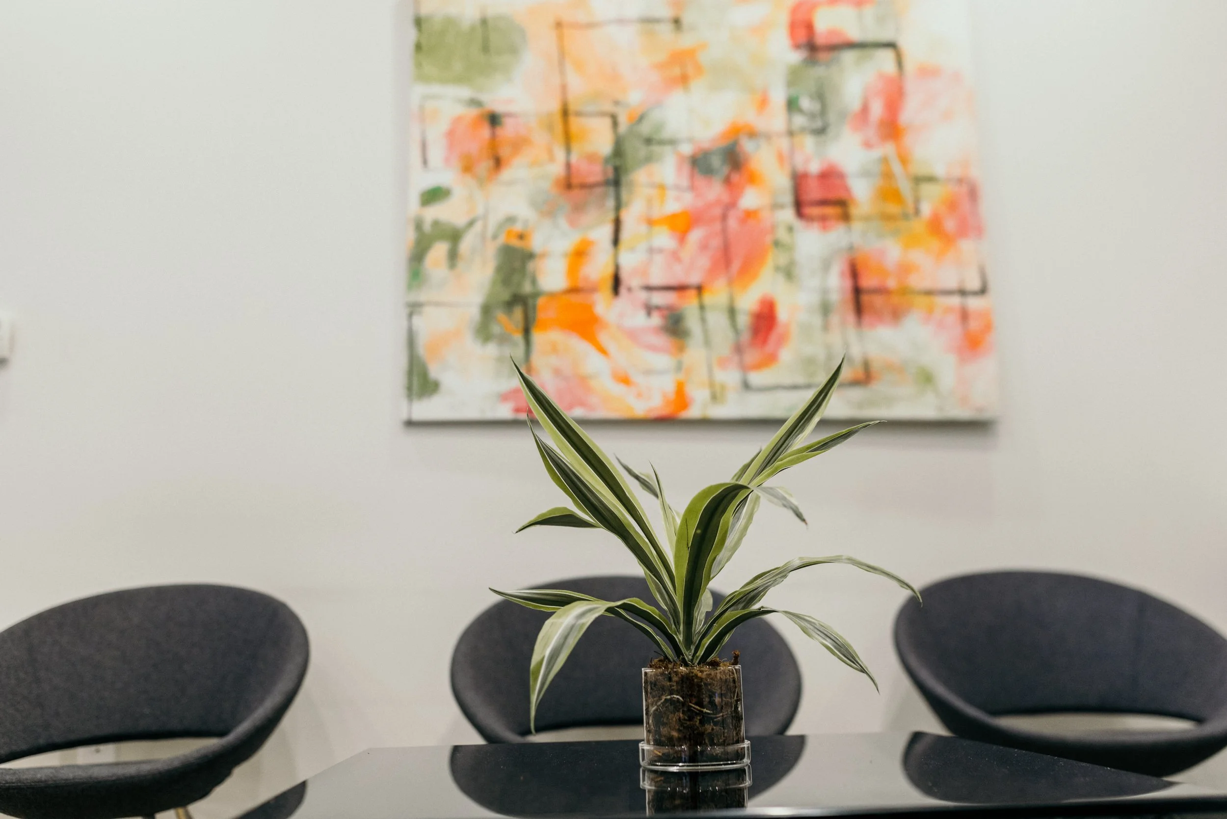 Koopah & Koopa Office Photos-14.jpg