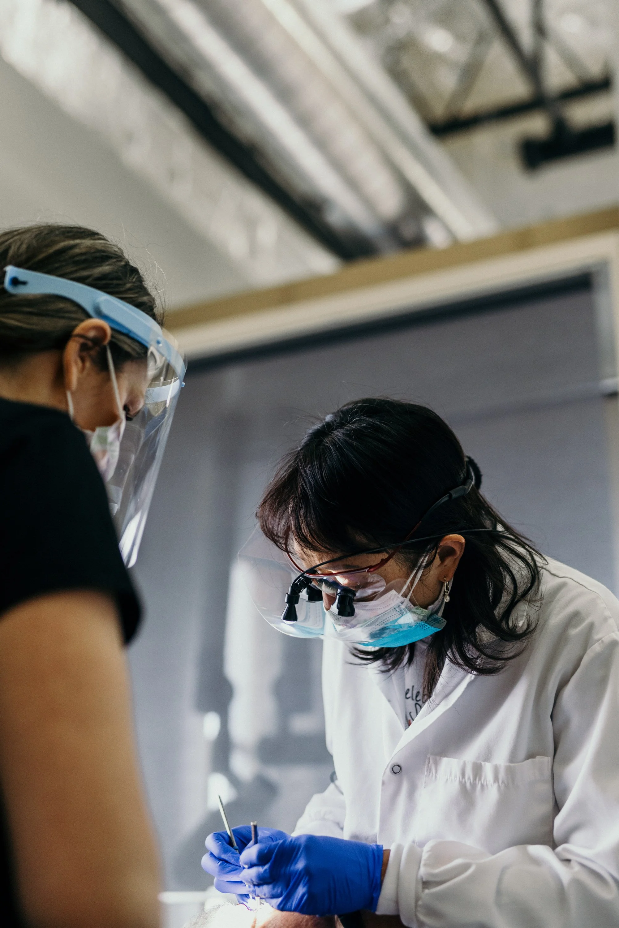 Celebrating Smiles Office Photos-33.jpg