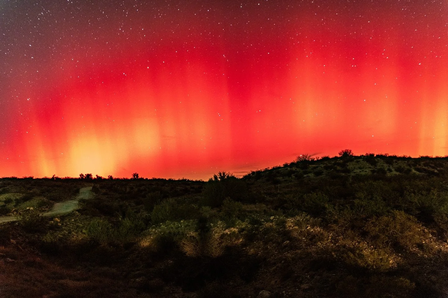 Northern lights lighting up the sky.