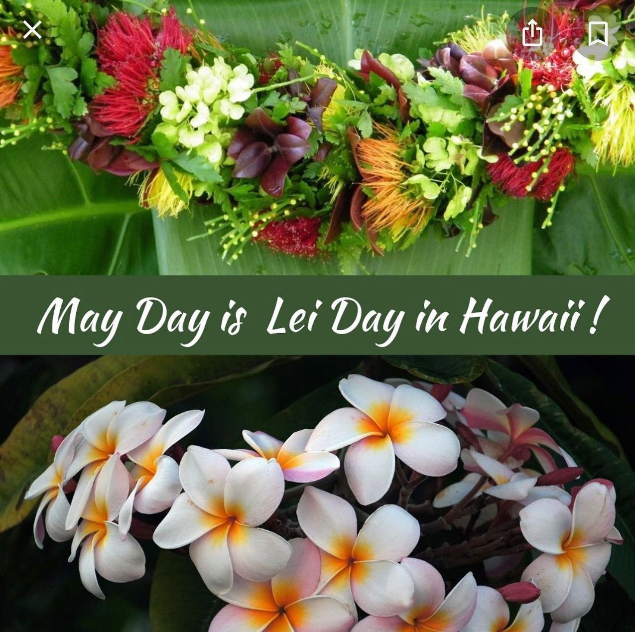 In the state of Hawaii, May Day is Lei Day. Each year, May 1st marks Hawaii&rsquo;s recognized Lei Day &mdash; an annual tribute to a culturally iconic symbol. Celebrated by Hawaiians and Hawaiians at heart no matter where they reside this custom hon