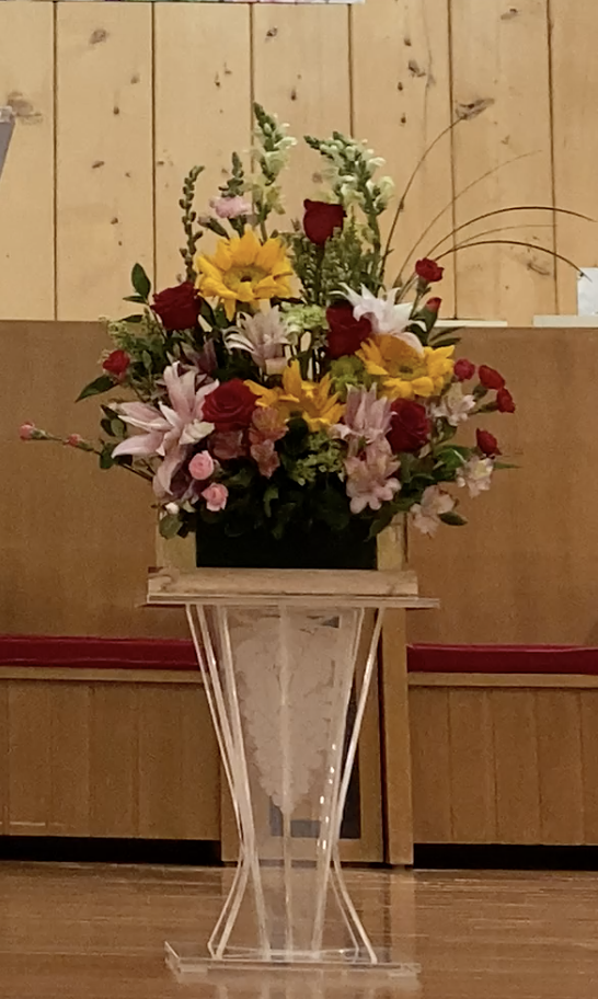 Screen Shot 2022-02-20 at 7.32.58 PM.png