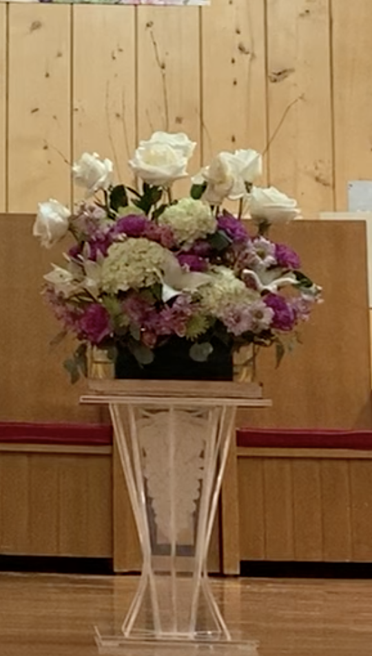 Screen Shot 2022-02-20 at 7.31.14 PM.png