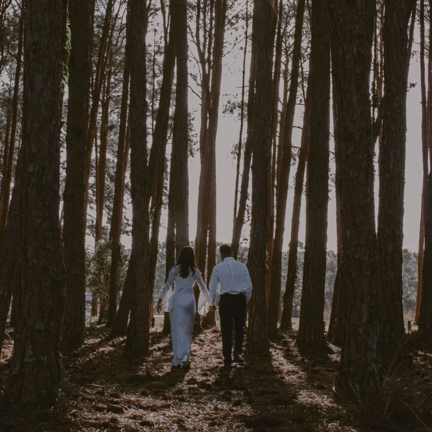 In the pine forest 🌲💍

It was a very special moment taking engagement photos for two of my closest friends. So much love and every  blessing for both of you 🧡🤍
