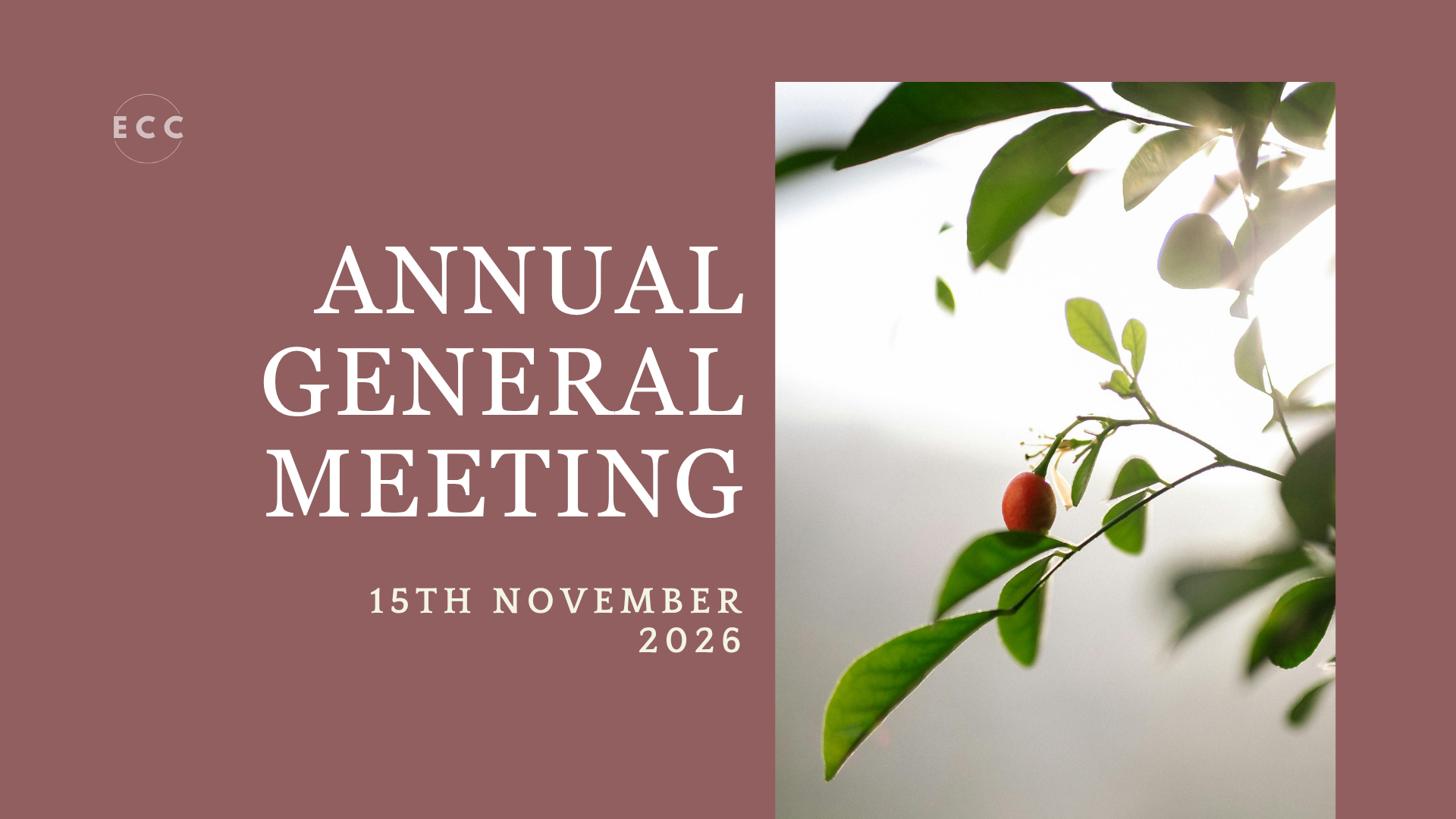 Annual General Meeting
