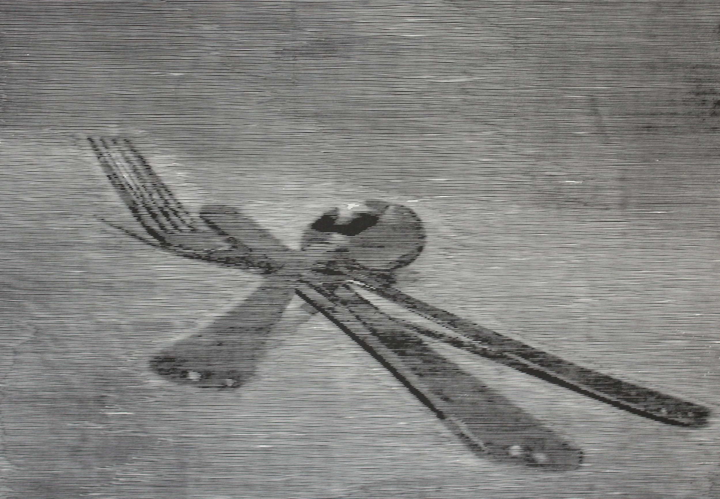 Interference of Perception: Rhopography (2022) — FREYJA FRISTAD