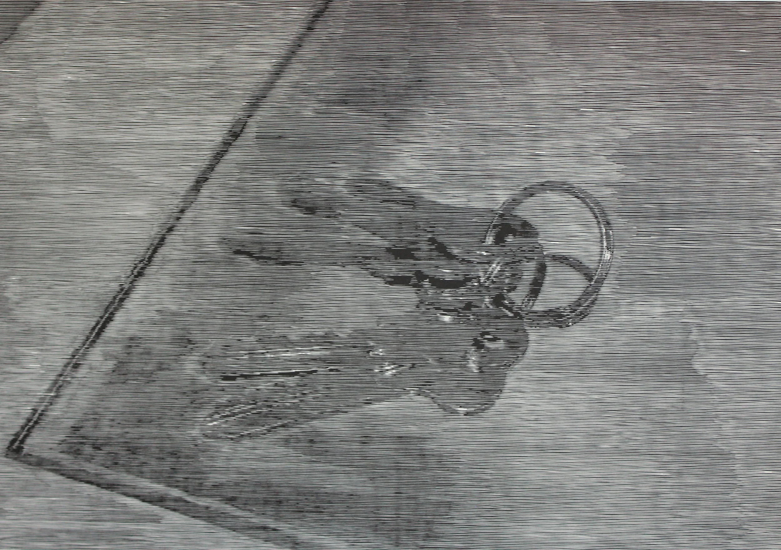 Interference of Perception: Rhopography (2022) — FREYJA FRISTAD