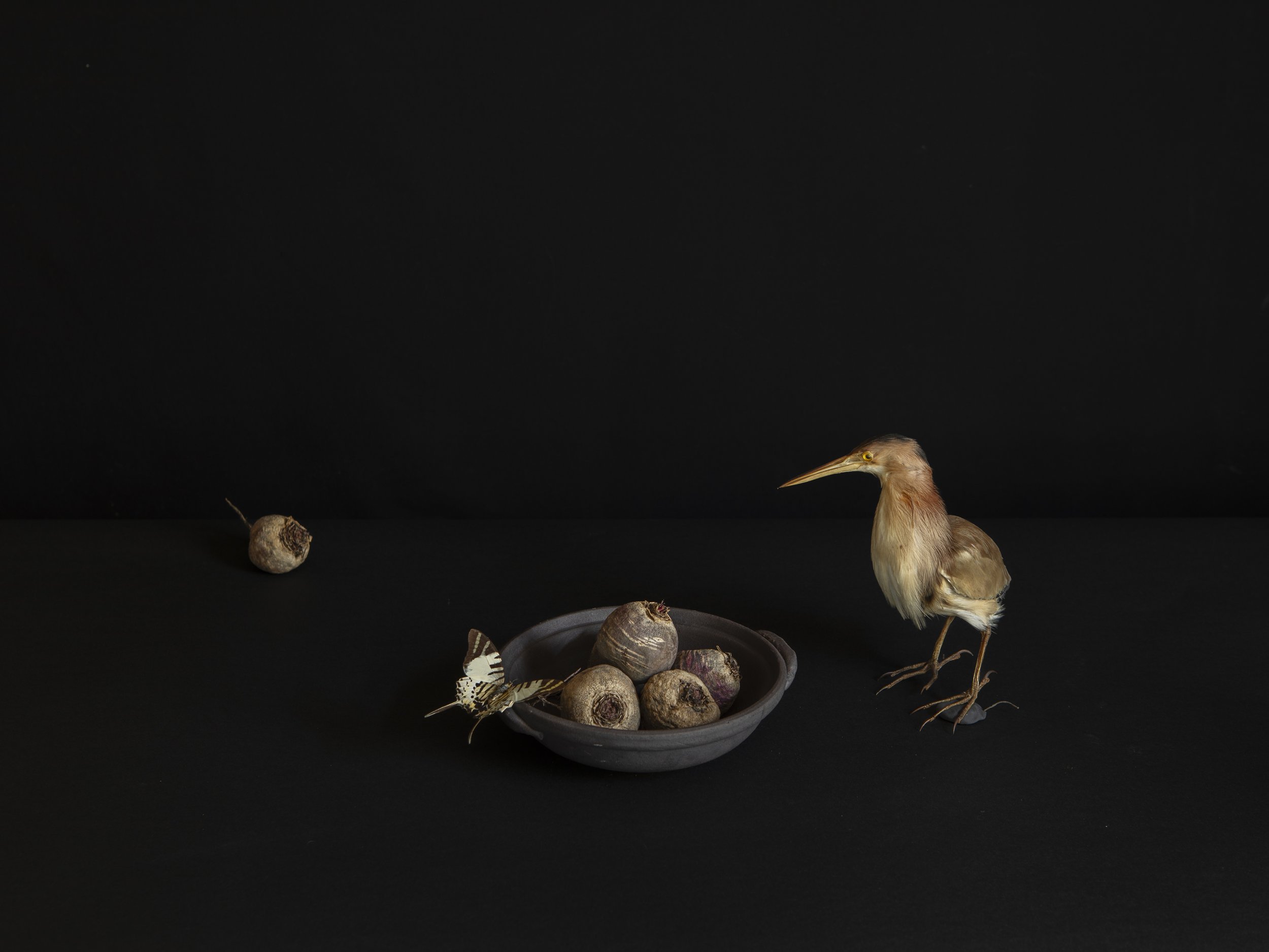 정미경_블랙_37.5×50cm