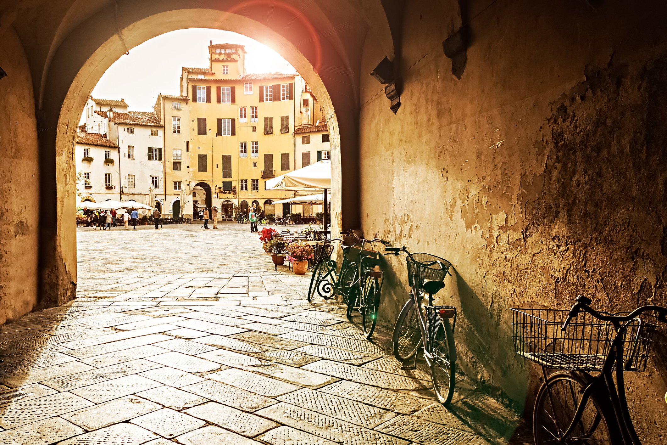 iStock-1165720415.jpg