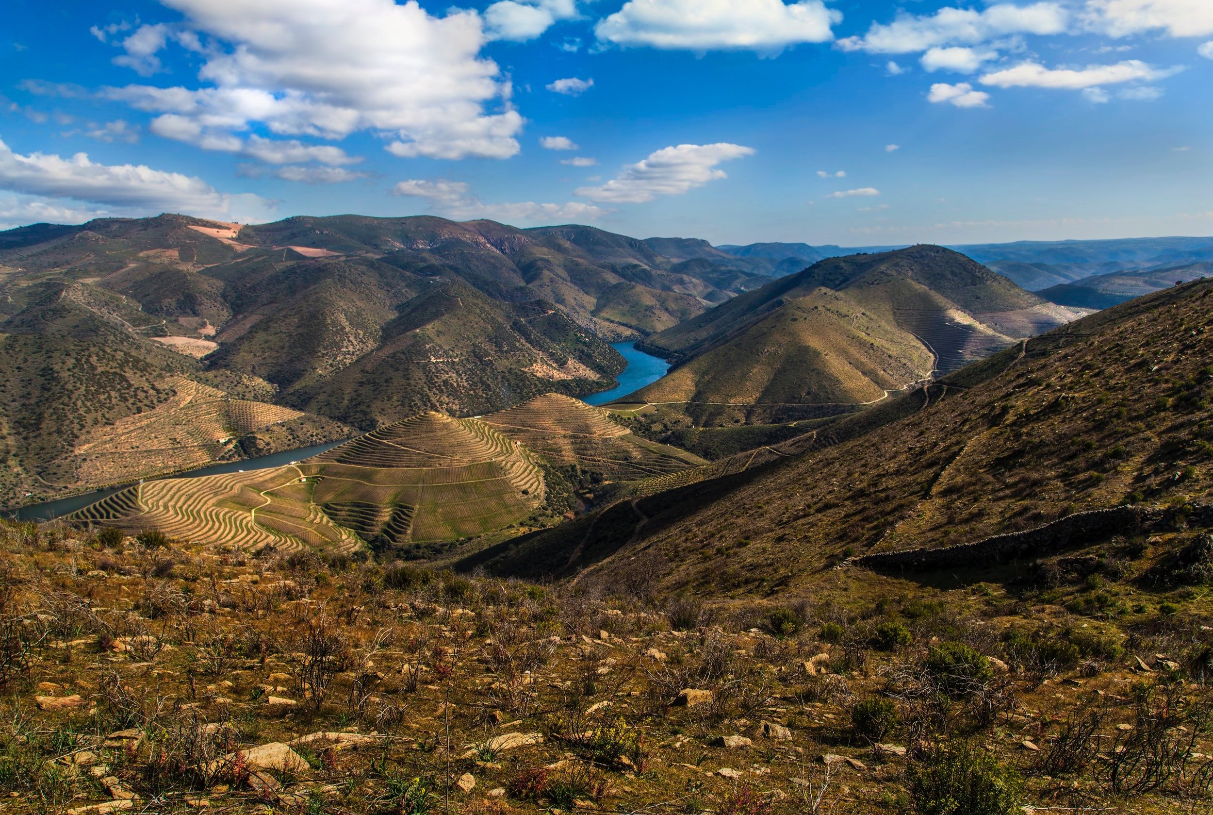 Portugal's Vale do Côa Archaeological Park