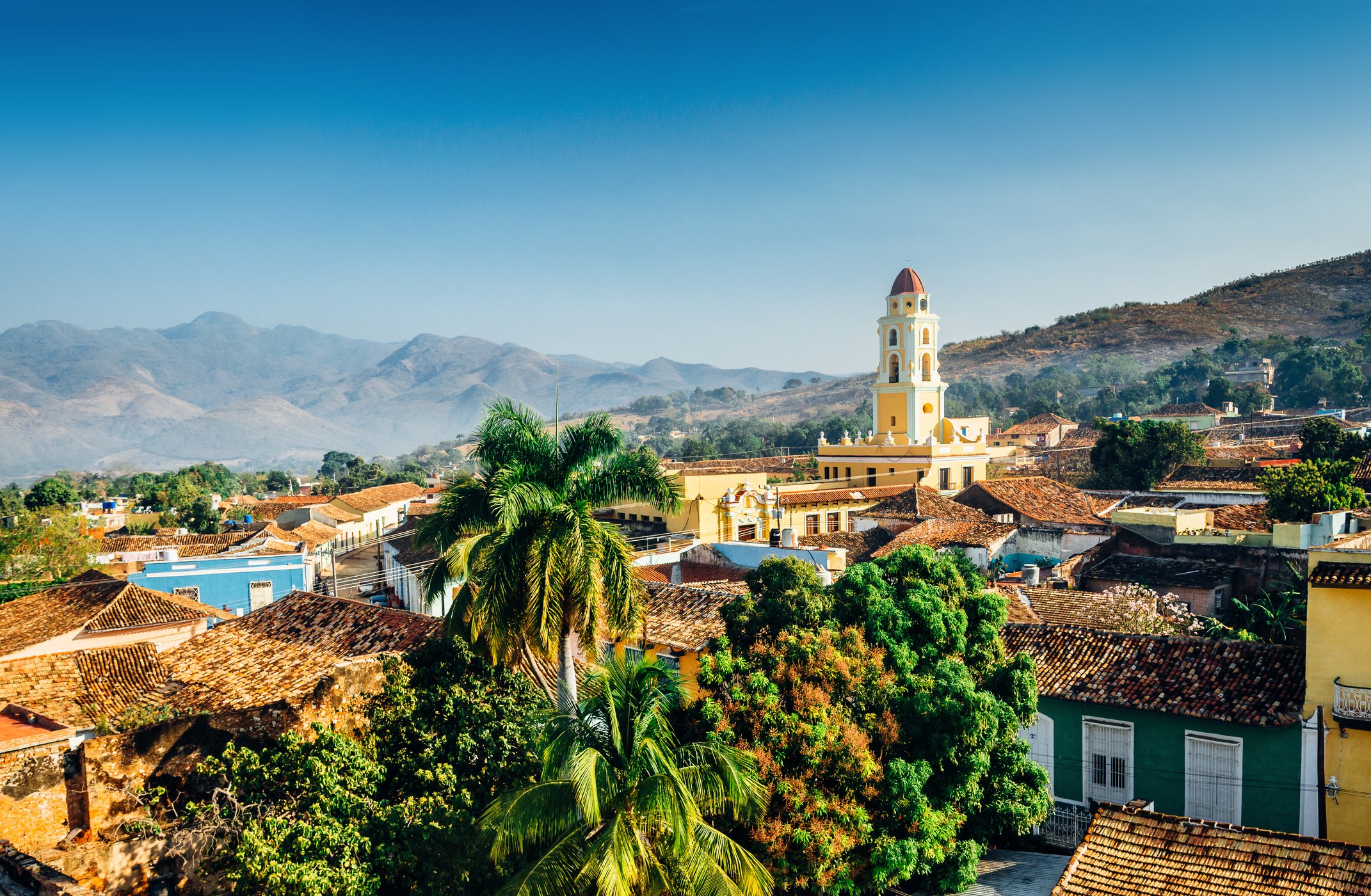 iStock-478045124.jpg