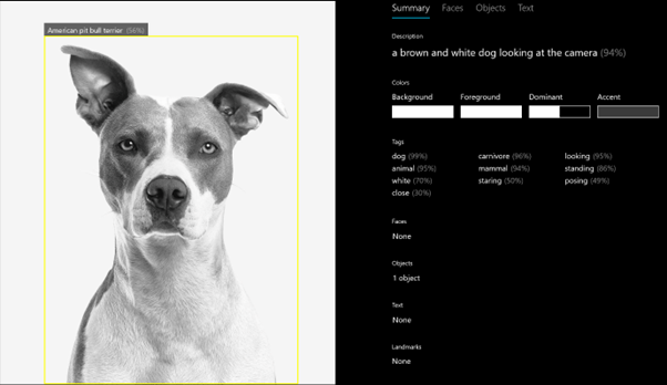 Algorithm bias is the design problem of the 21st century (and here’s what we can do about it)
