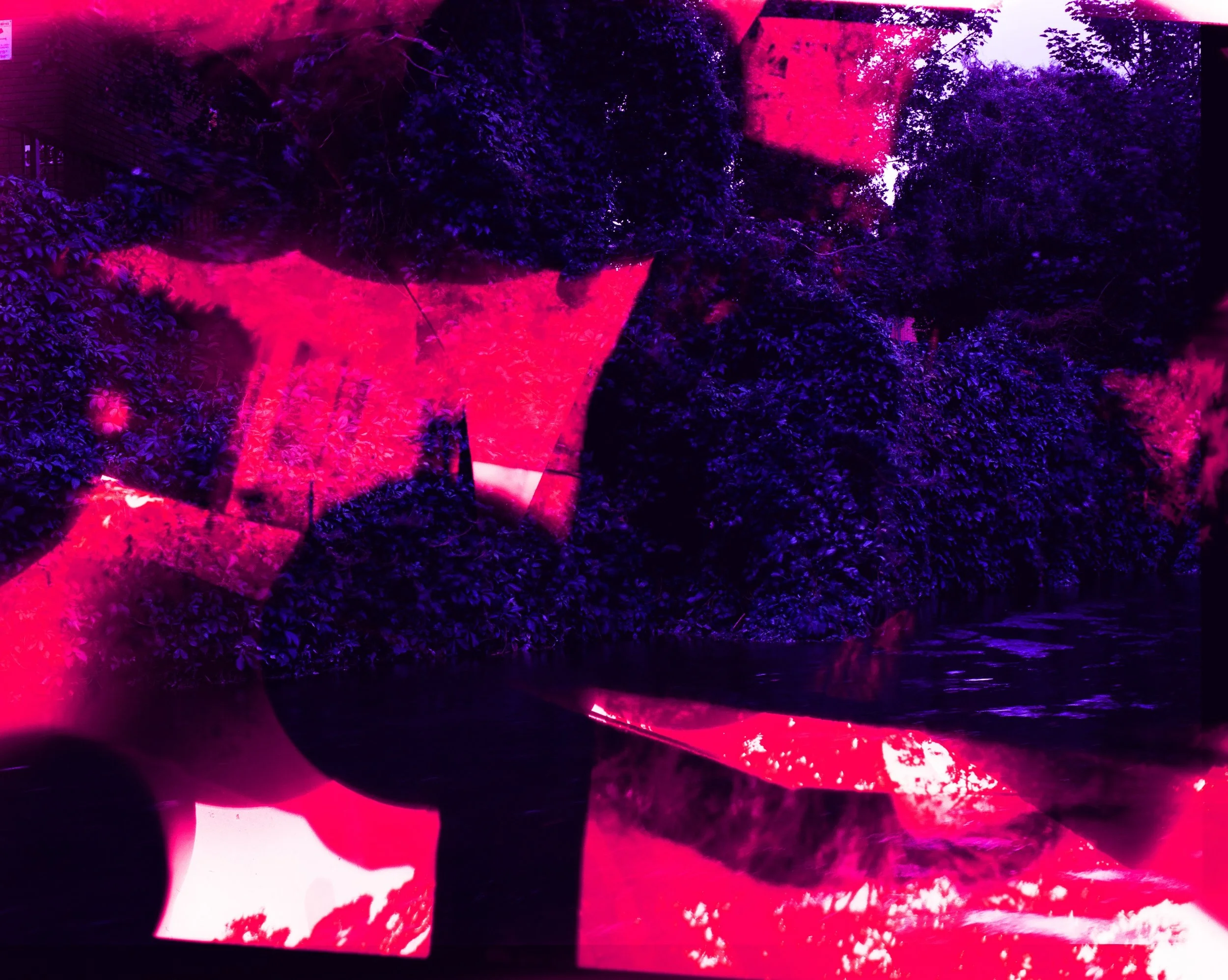 260611000000020010.jpg