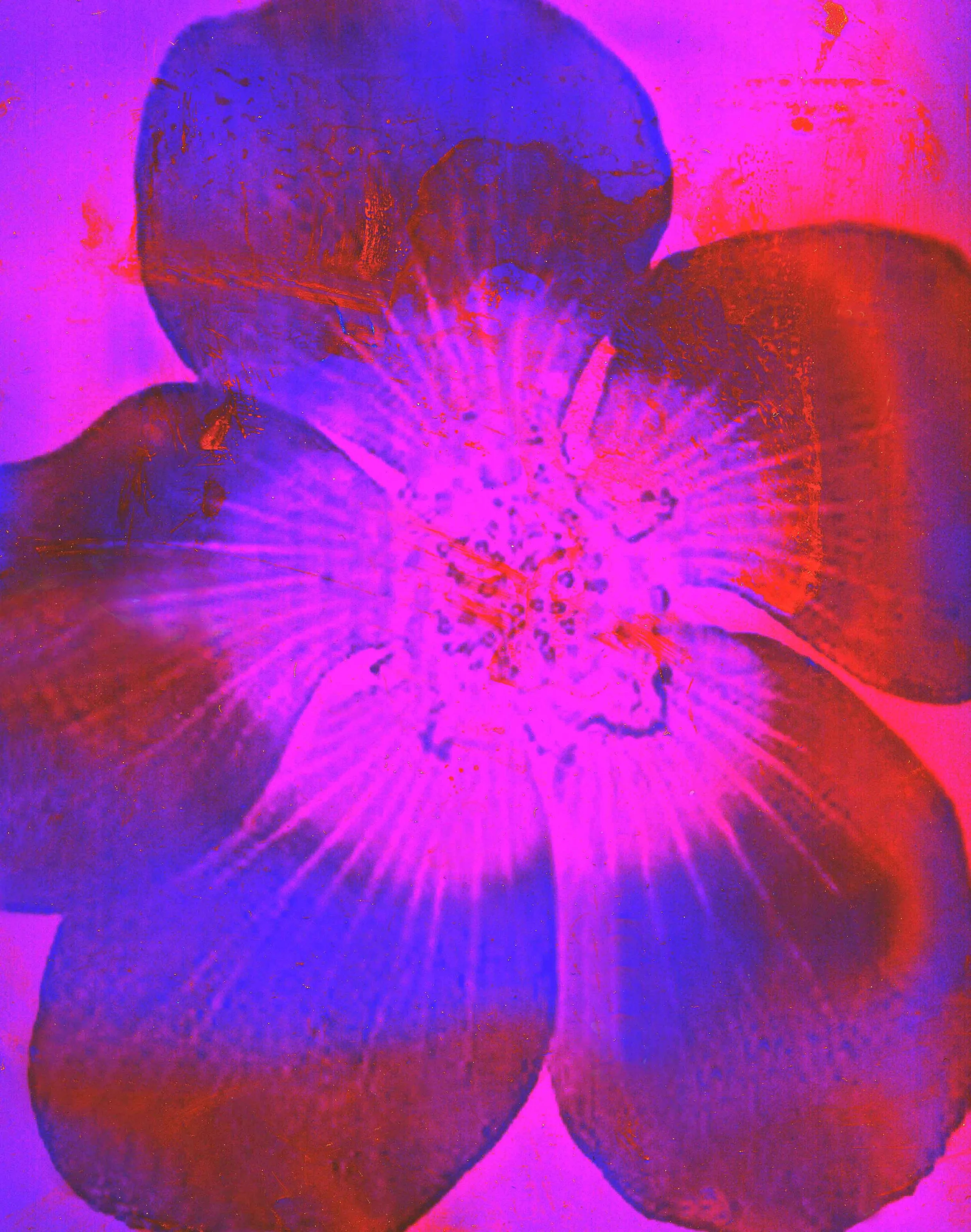 img20260416_18282641.jpg