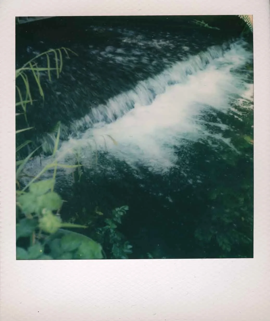 img20260520_17205189.jpg