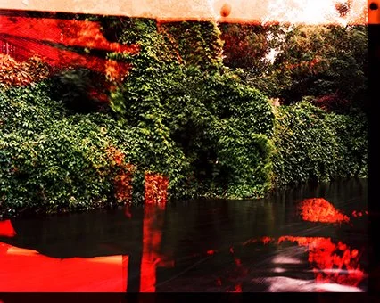 Pollution 3.jpg