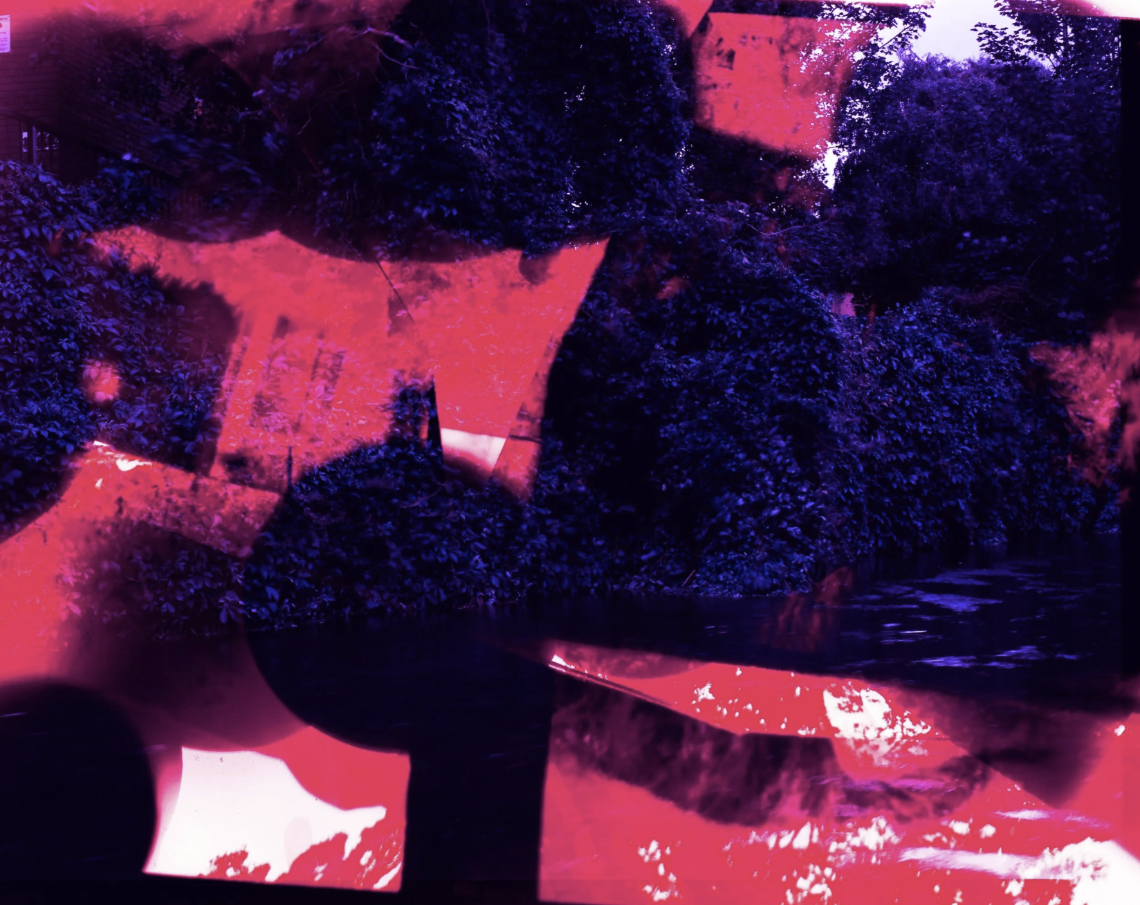 Screenshot 2026-07-18 at 10.22.47.png