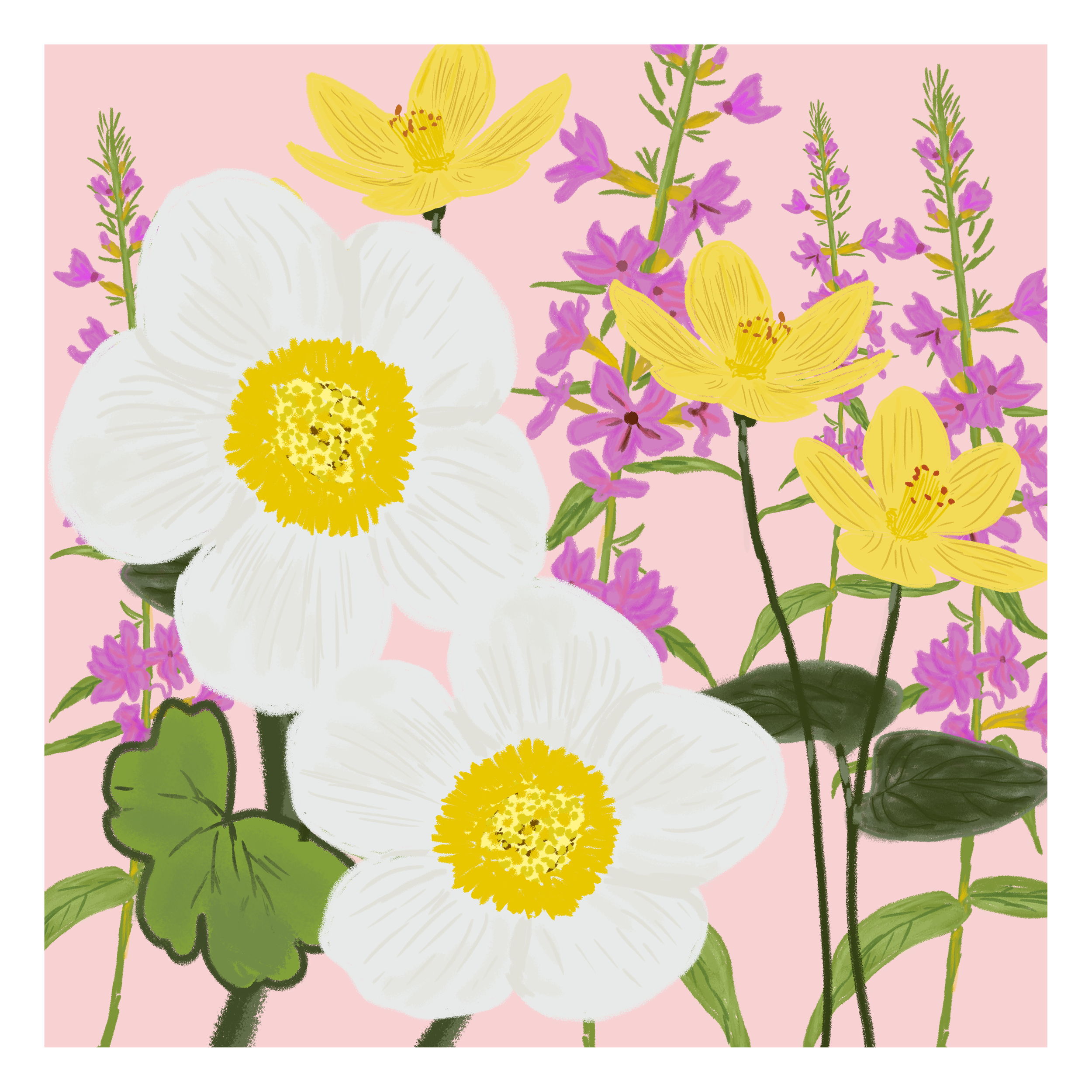 Design (1).png
