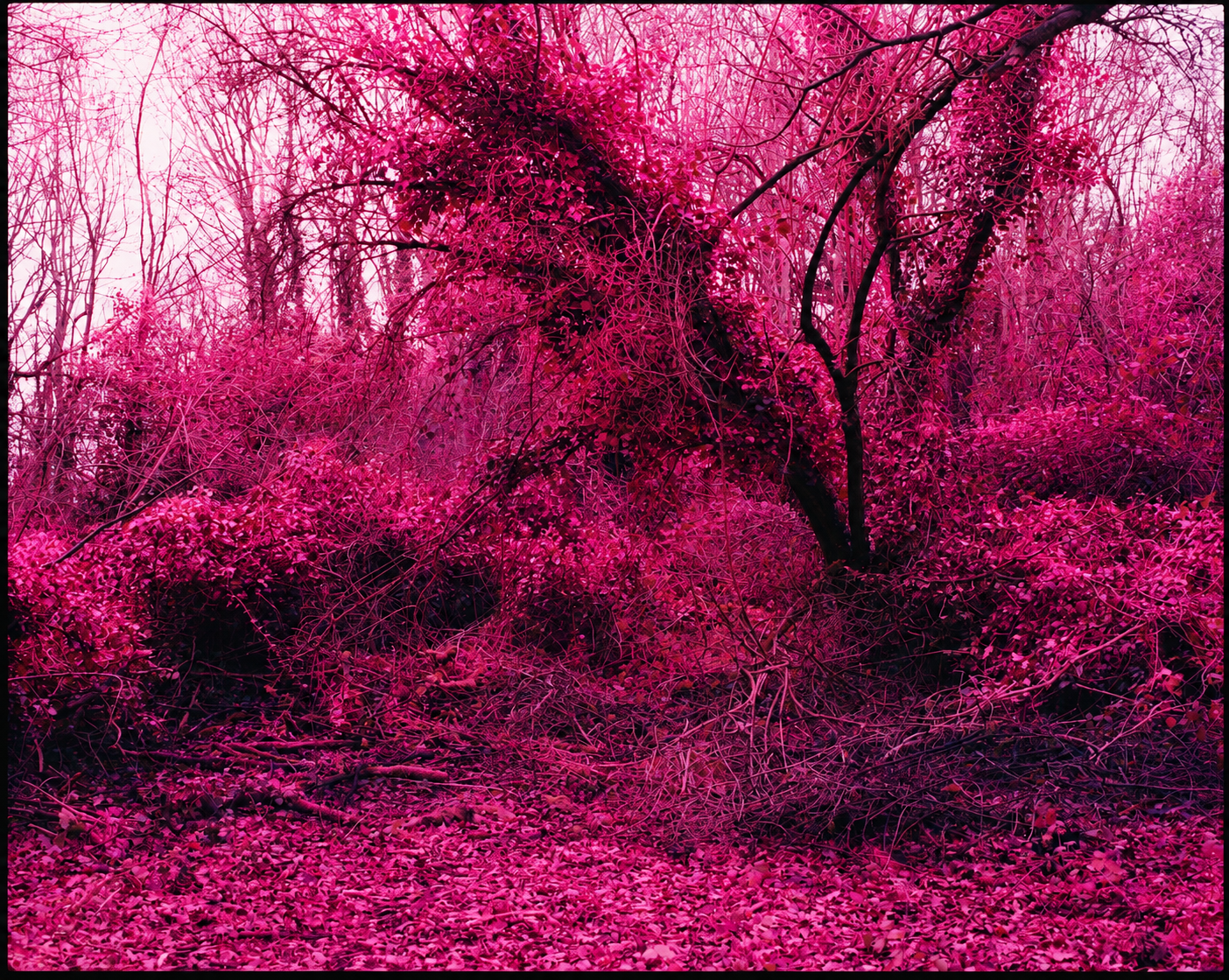 ChatGPT Image Jul 29, 2026, 10_34_00 PM.png