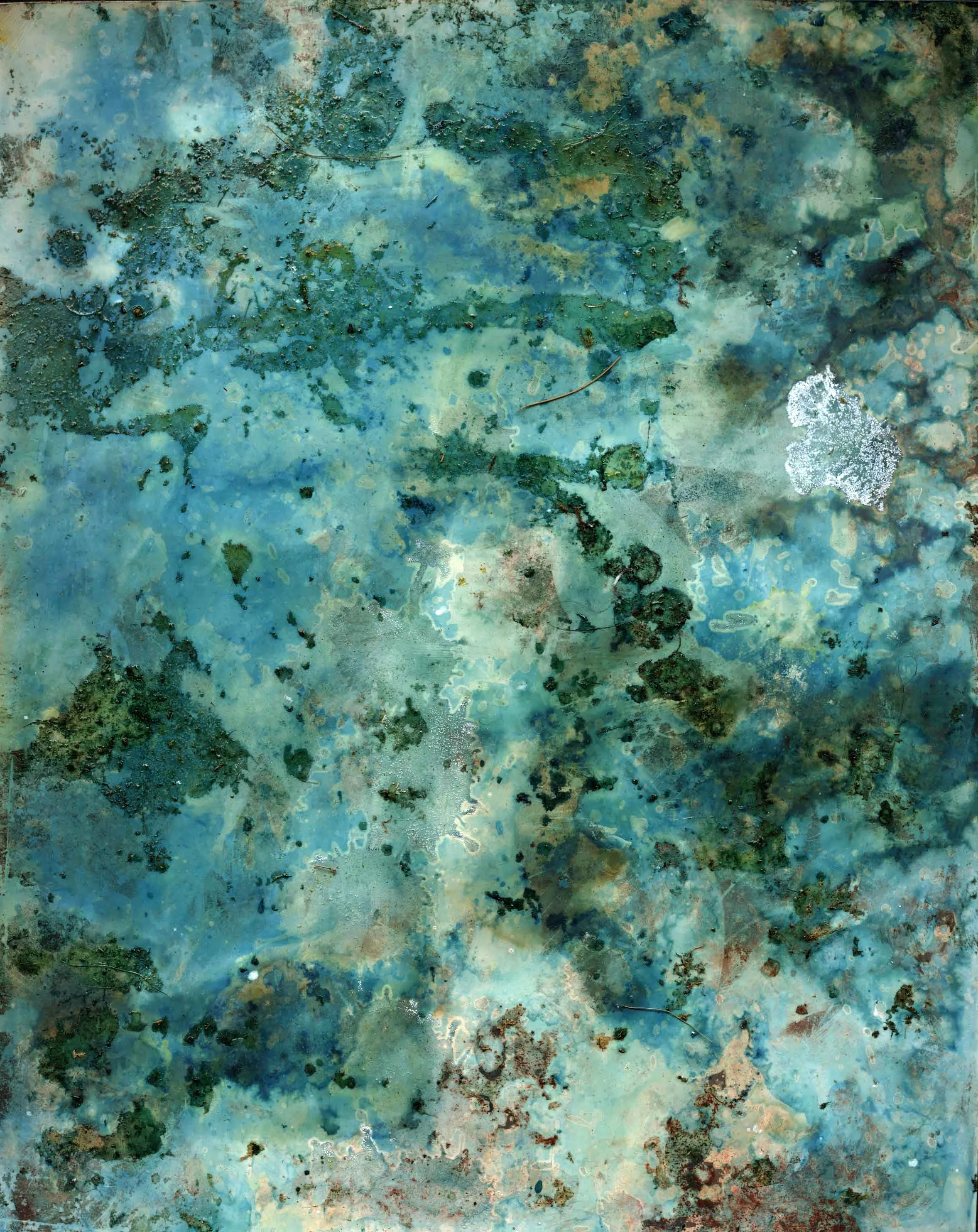 Cyanochem1.jpg