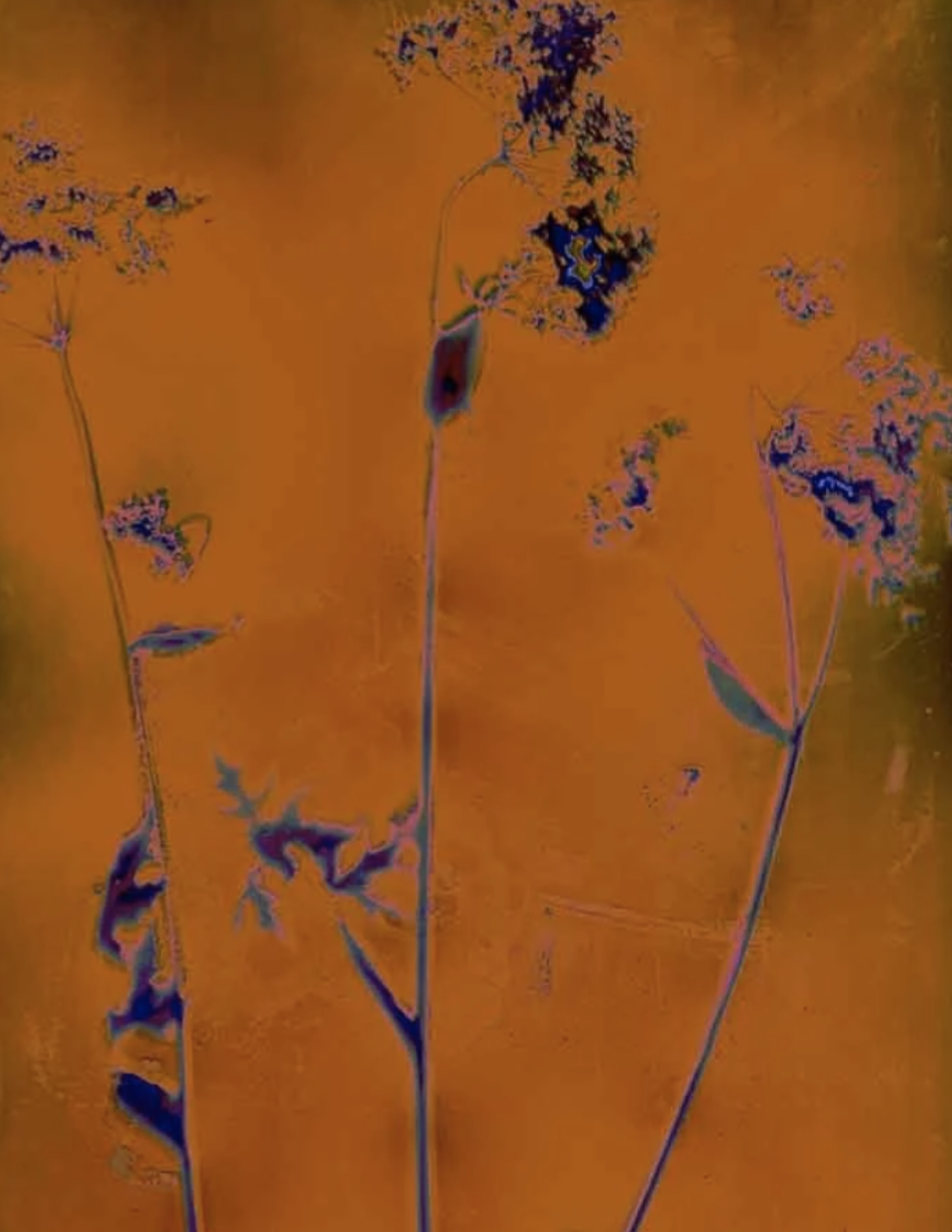Screenshot 2026-06-15 at 20.07.04.png