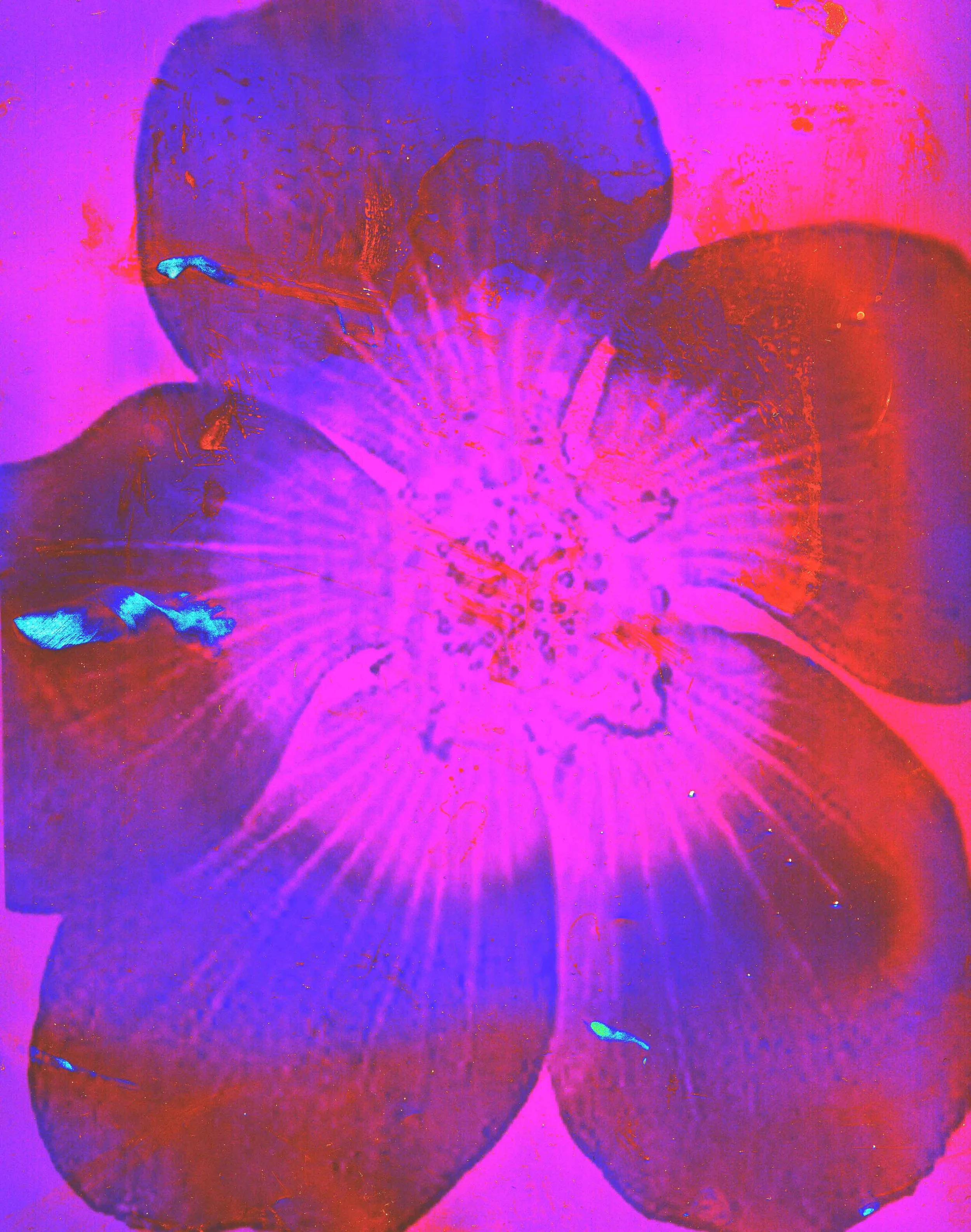 img20260416_18282641.jpg