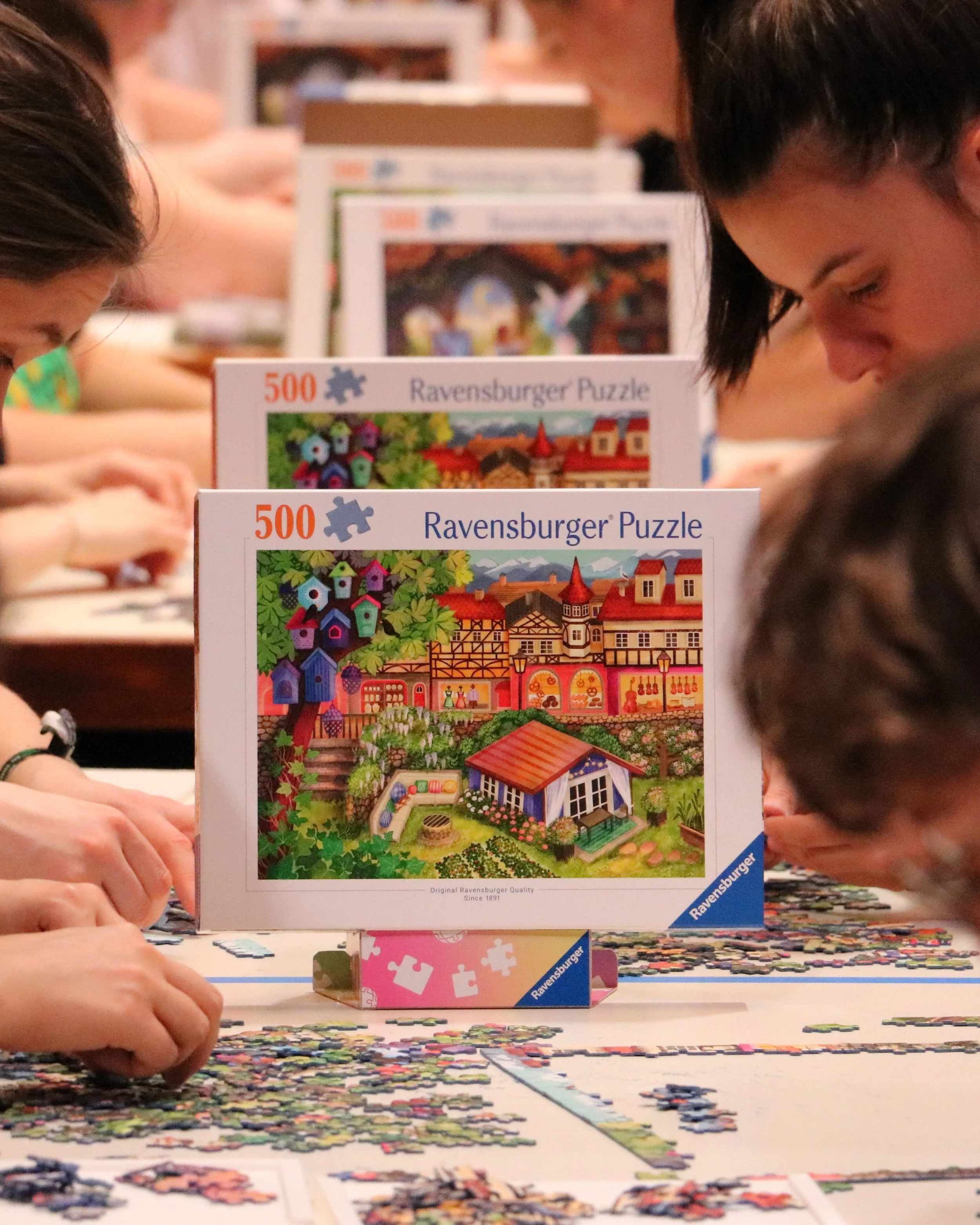 Puzzle Meisterschaft Finale Deutschland