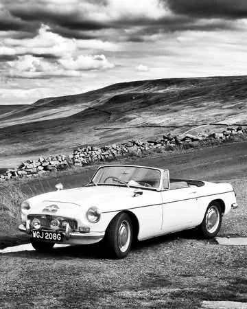 January 2026 Monthly Newsletter 