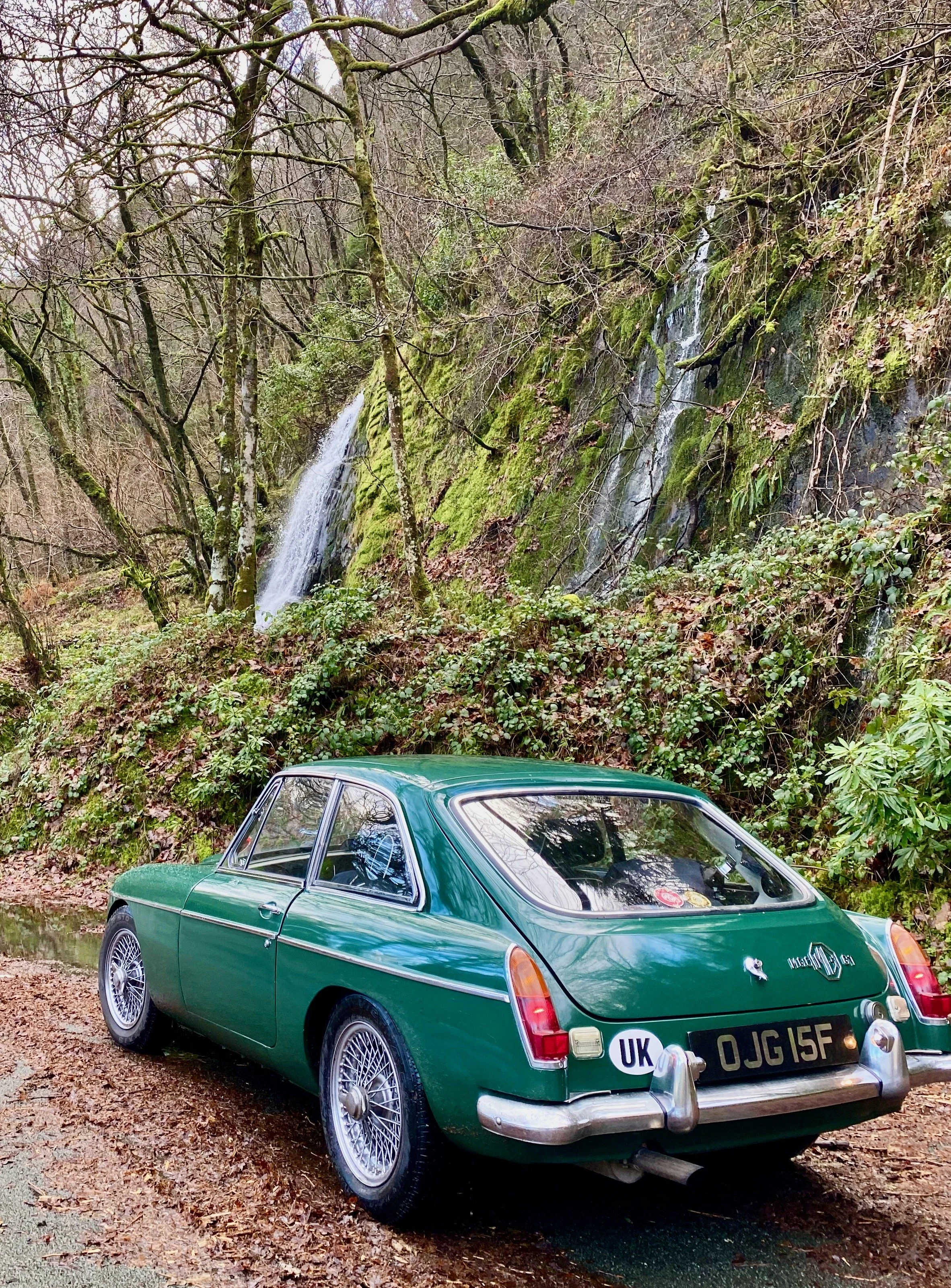 February 2026 Monthly Newsletter 