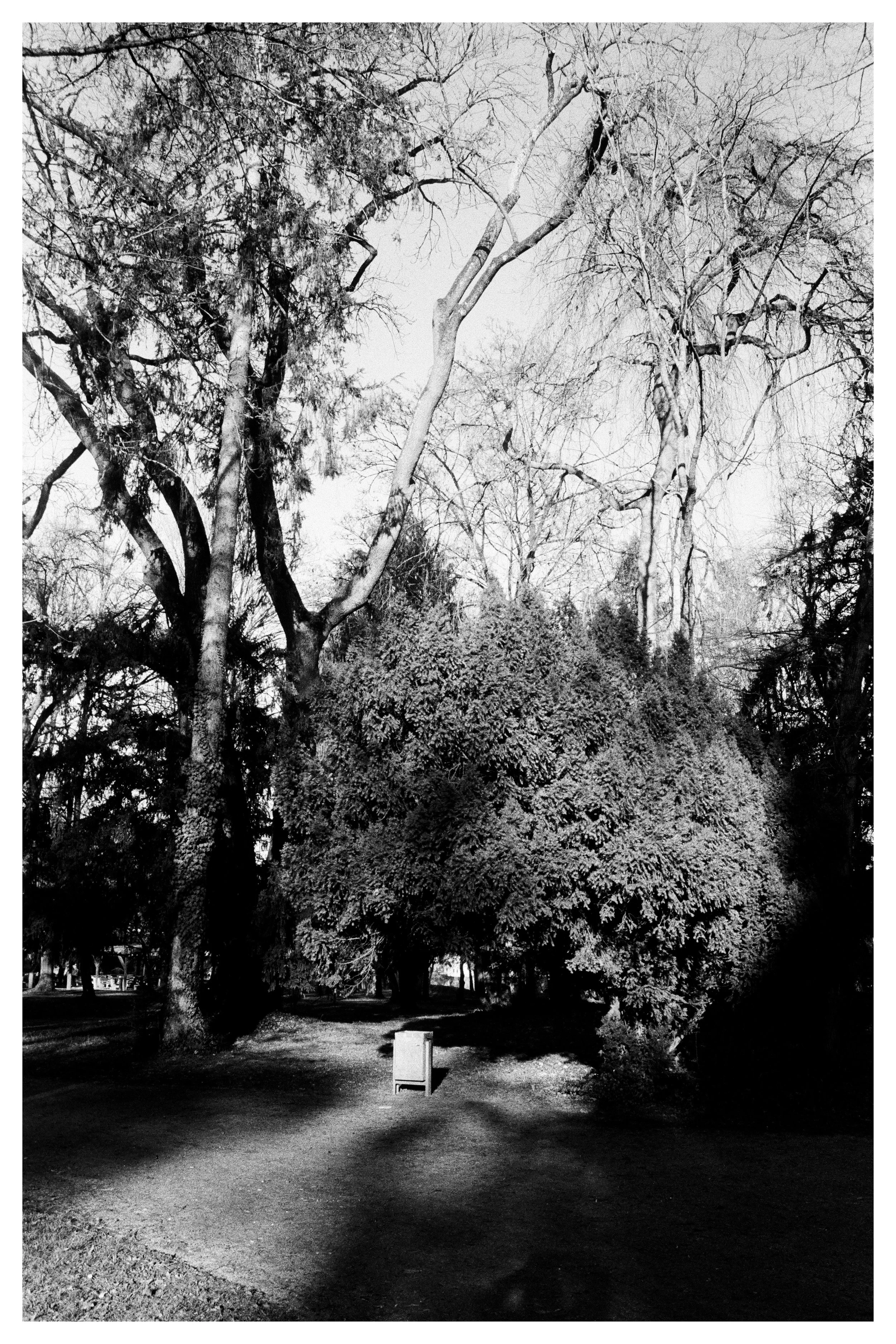Alter friedhof large print with border.jpg